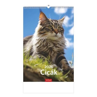 Naptár, fali, TOPTIMER, "Cicák"